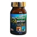 King Fucoidan & Agaricus