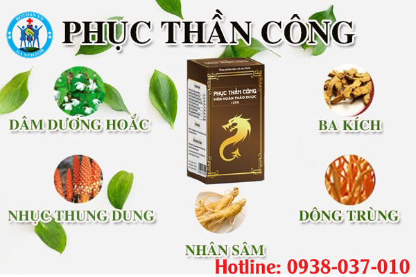 Các thành phần chính trong Phục Thần Công: