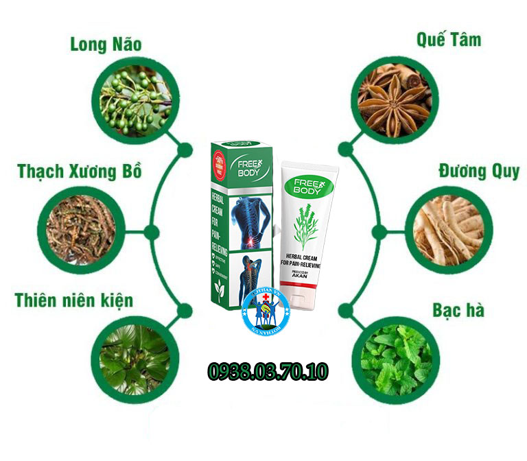 Thành phần chính của kem Free Body