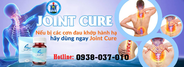 giới thiệu joint cure