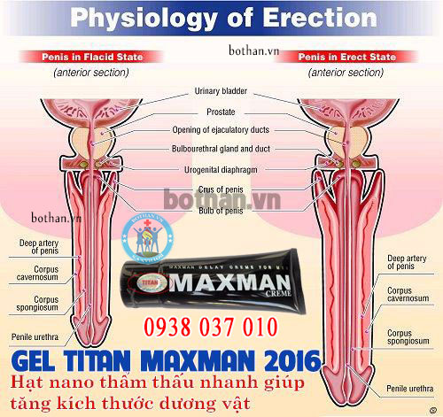 2-lo-gel-titan-maxman2