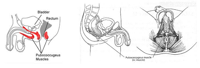 Top phương pháp trị xuất tinh sớm tại nhà