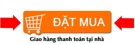 dat-mua-hang-button