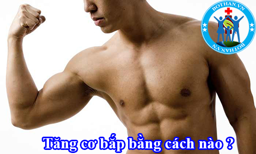 Tăng cơ bắp nhanh bằng cách nào ? Tăng cơ bắp nhanh bằng cách nào ?