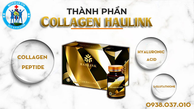 thành phần collagen haulink