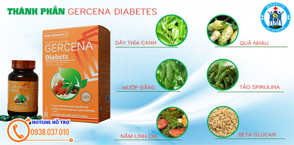 gercena-diabetes-312