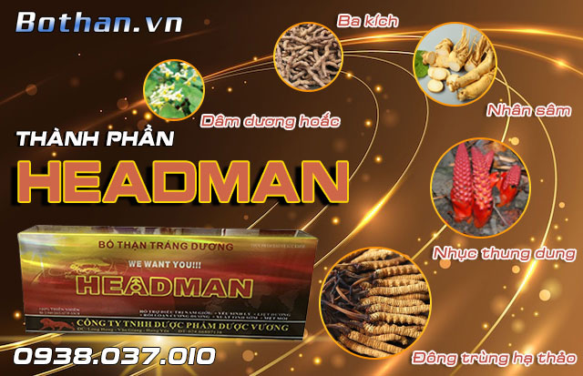 thành phần headman