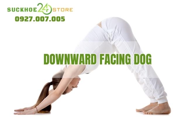 Động tác chó úp mặt
