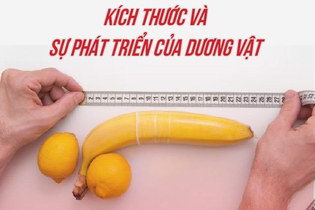 Kích thước bình thường của cậu nhỏ