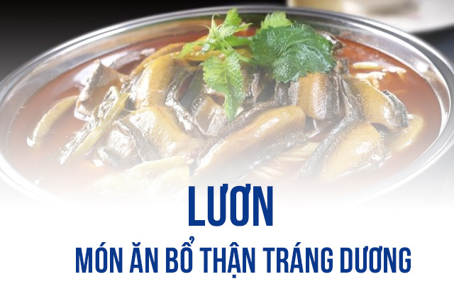 lươn món ăn bổ thận tráng dương