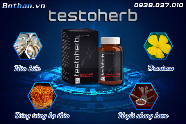 thành phần testoherb