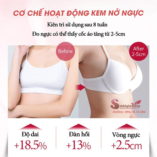 cơ chế hoạt động của kem nở ngực tốt nhất hiện nay