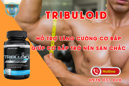 tribuloid-gioi-thieu