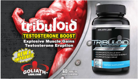 tribuloid4